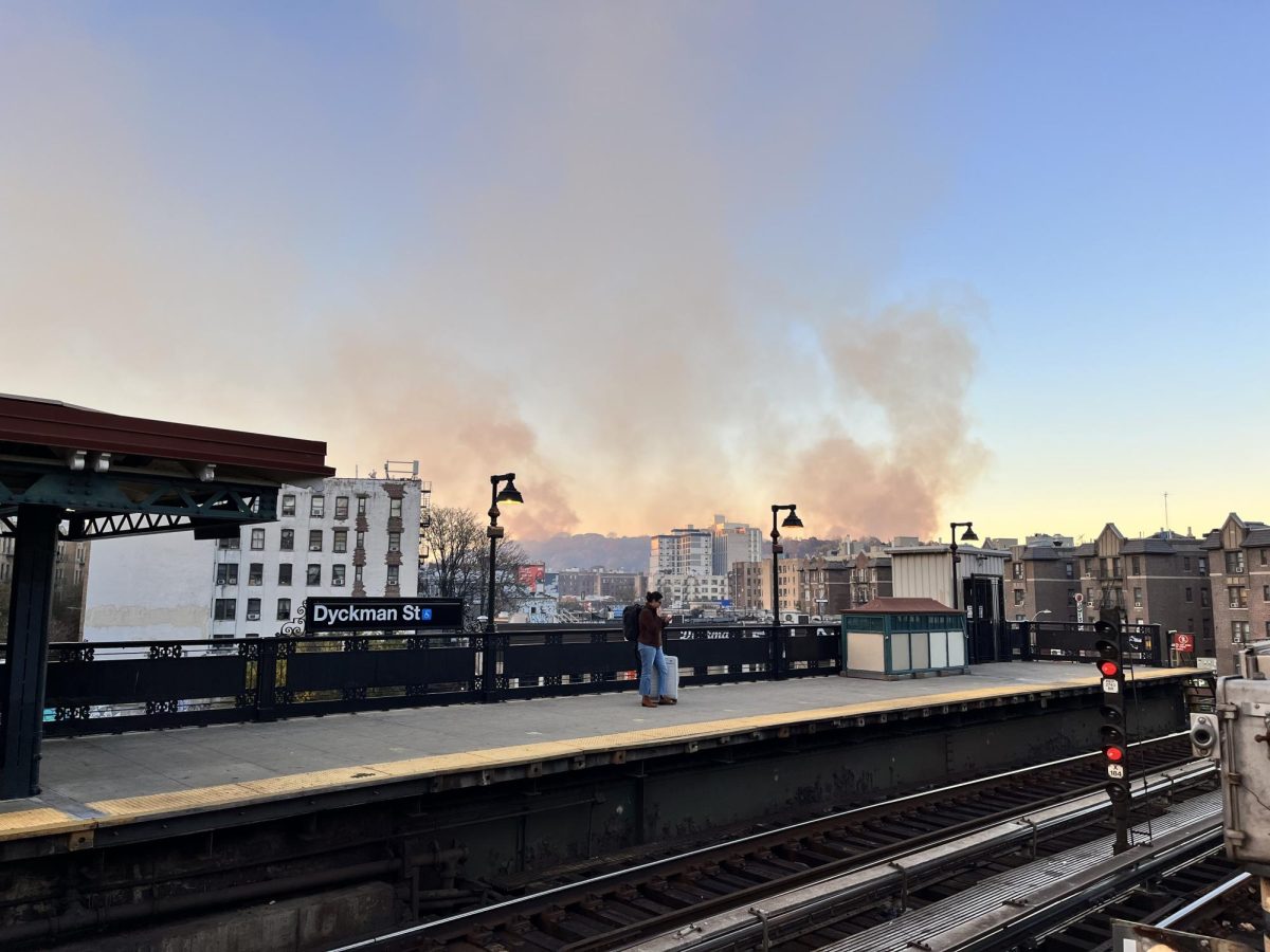 Smoke rising from fires in Inwood Park on November 13, 2024.  