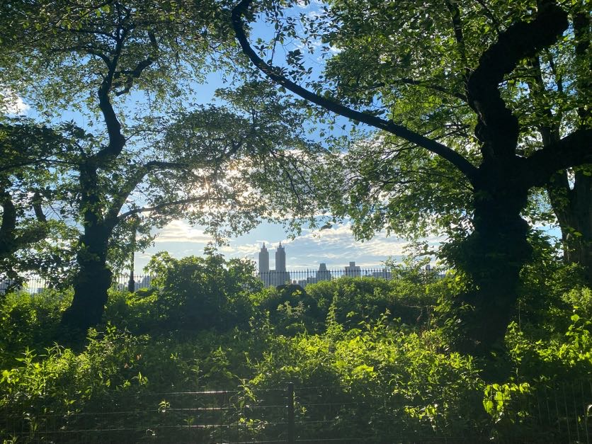Reduce Stress! Visit a local park.