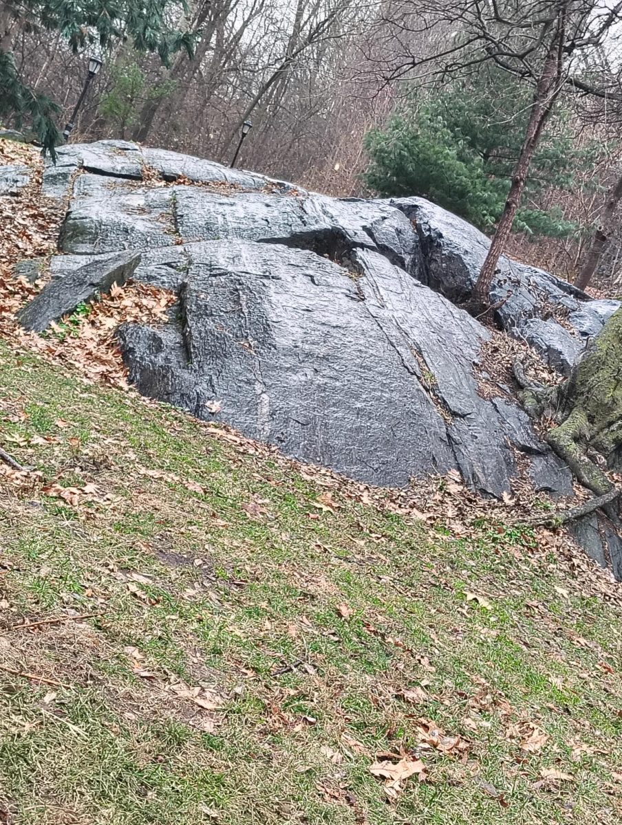 central Park 
