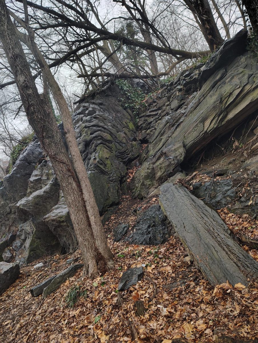 Morning side park 