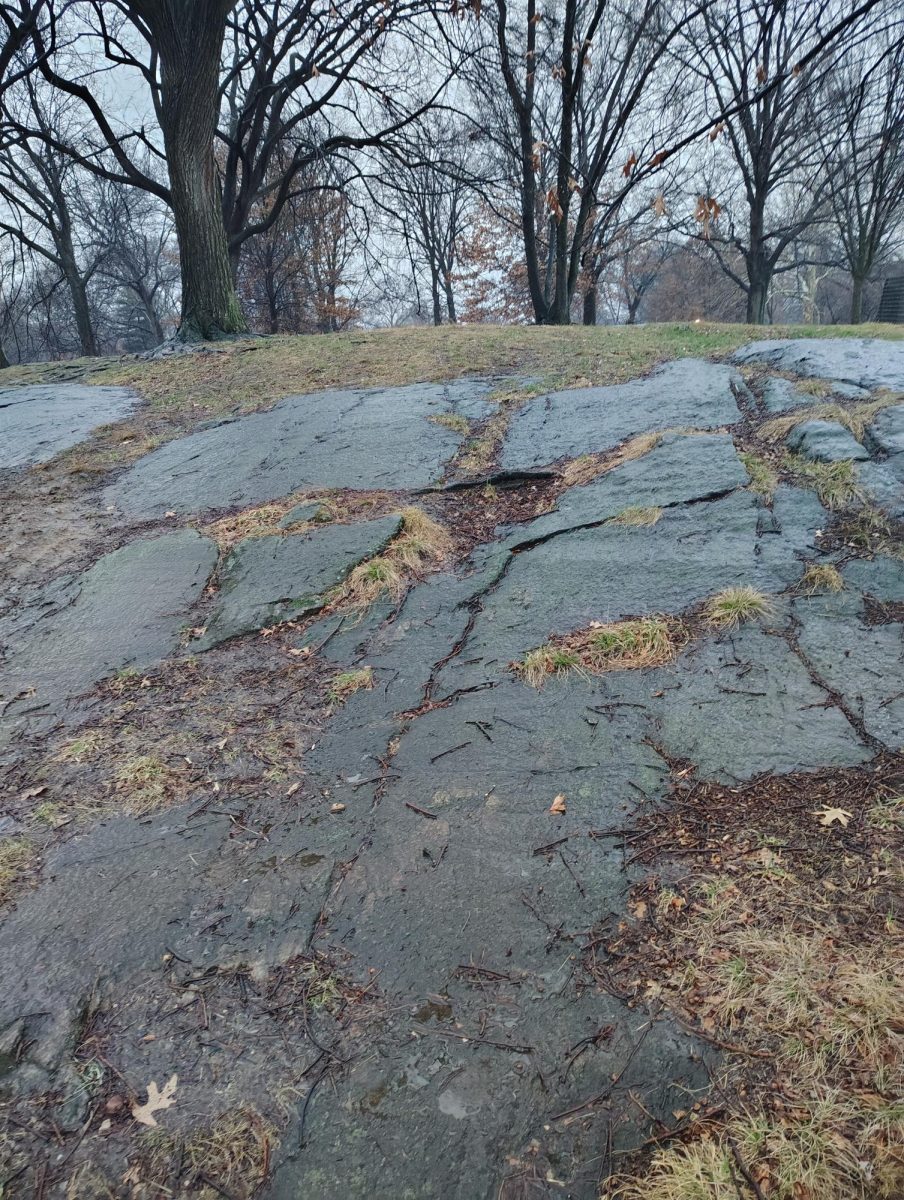 central park 