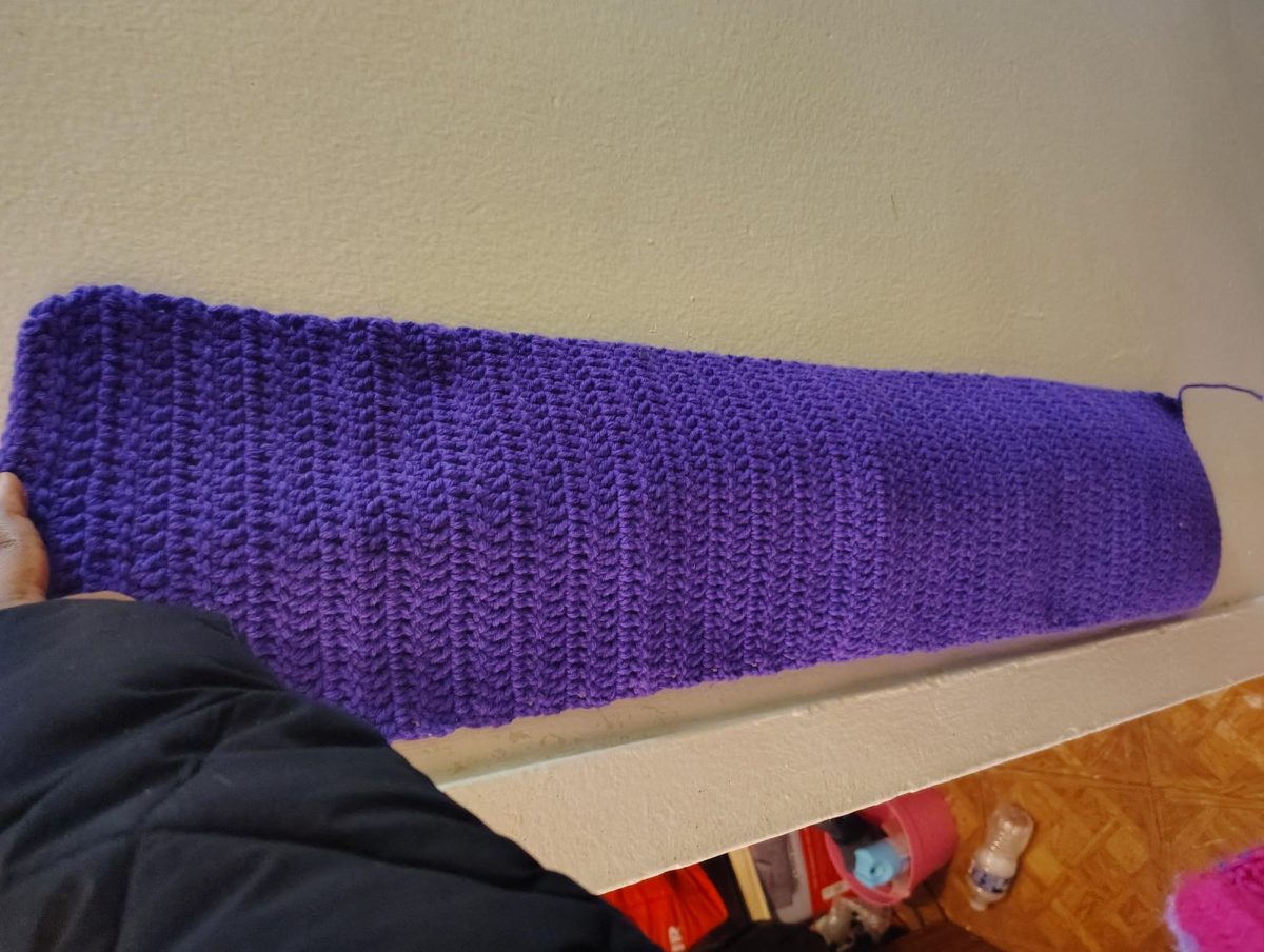 A royal purple scarf hand crocheted by Ms. Howell.  