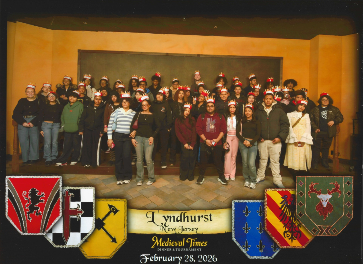 medieval times group